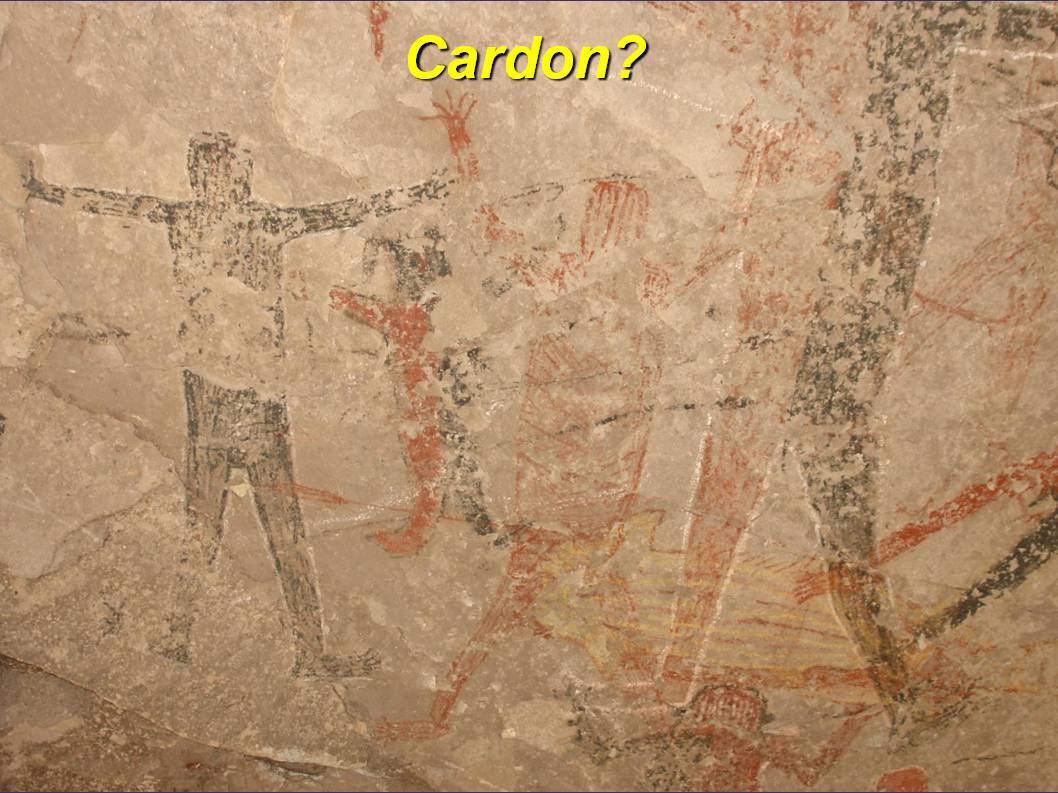 I am not sure if this figure should be called a cardon.