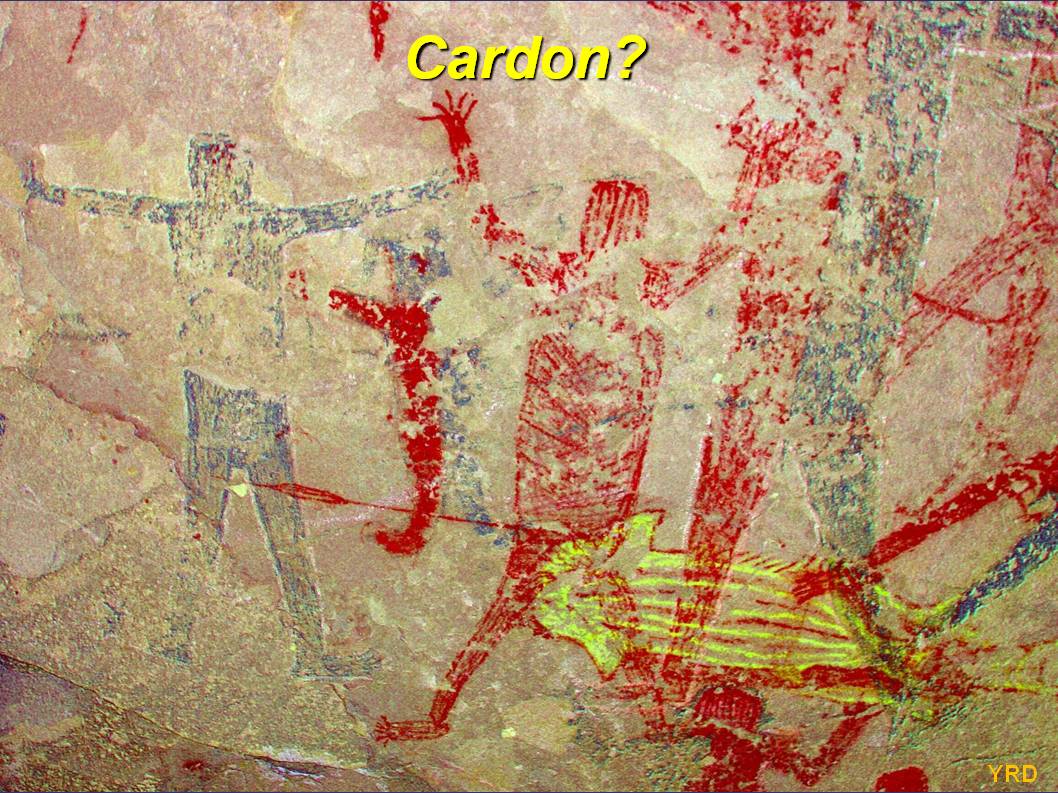 The figure lacks the vertical stripes of a typical cardon.