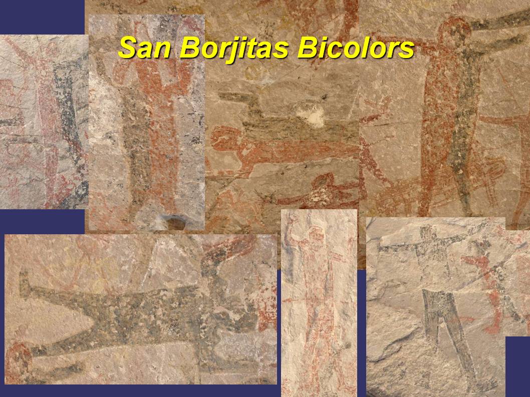 This is a montage of bicolors from San Borjitas.
